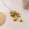 una rama de naranja