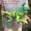 Arcoiris verde