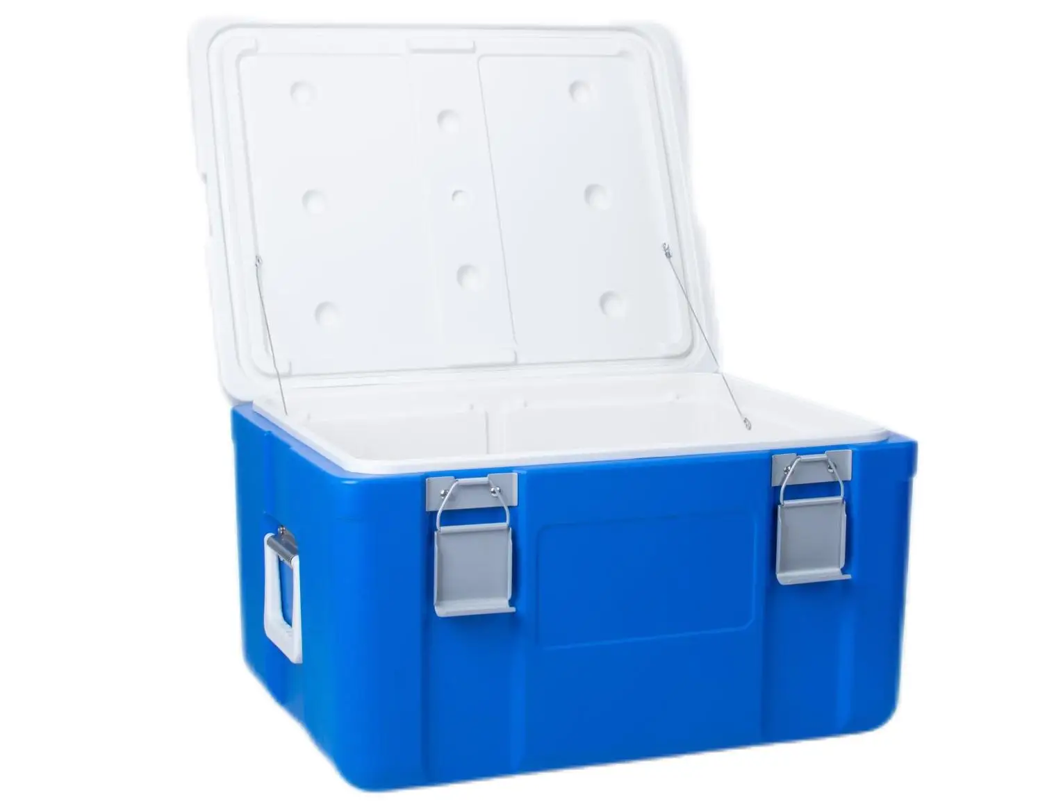 Retail Customized Huge Capacity 65L Thermal Food Cold Chain Portable Beer Wine Water Ice Can Plastic Cooler Box