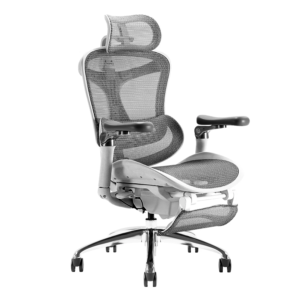 Sihoo C300 High Quality Back Mesh Fabric Swivel Computer Desk Chair Luxury Ergonomic Gray Office Chairs With Headrest