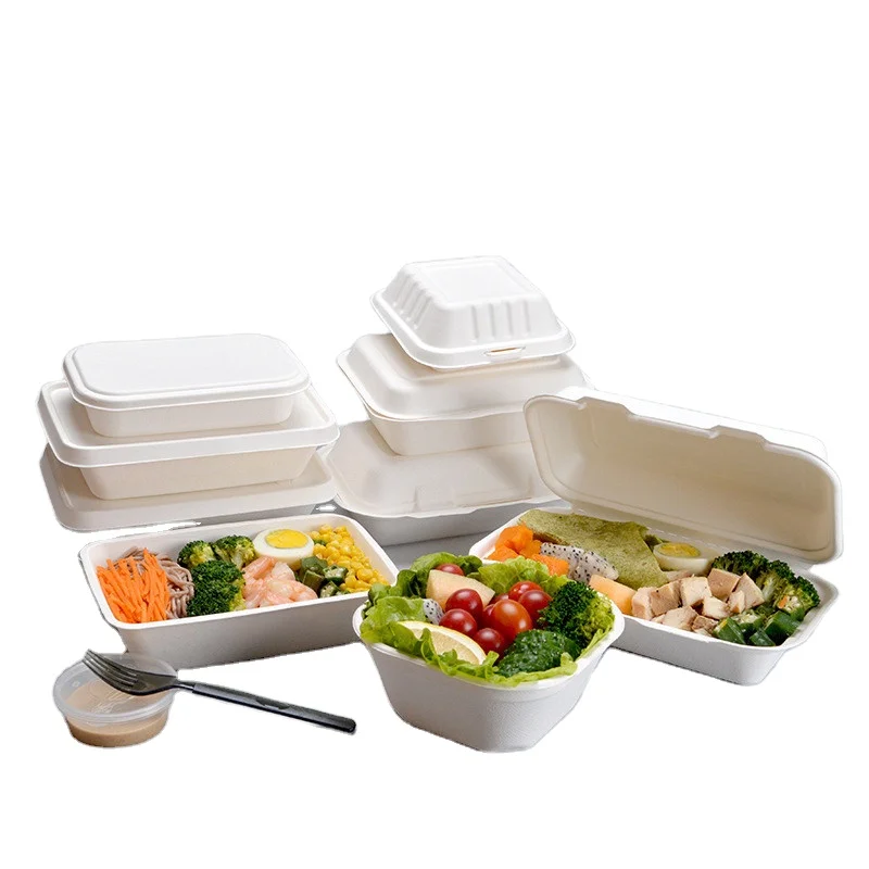 Eco friendly biodegradable food & Salad containers