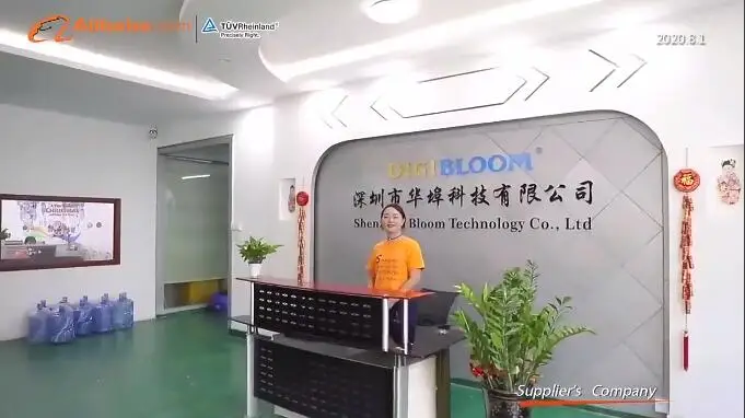 Company Overview - Shenzhen Bloom Technology Co., Ltd.
