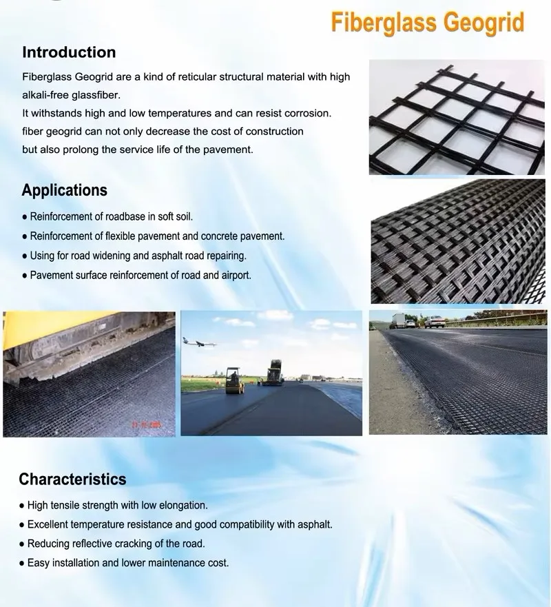 Fiberglass Geogrid Biaxial Uniaxial Glass Fiber Geogrid For Asphalt Road High Strength Biaxial /Fiberglass Plastic Geogrid manufacture