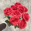 สีแดง
