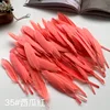 35 sandía roja-precio unitario 100 unidades/bolsa