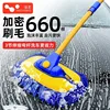 Single brush head