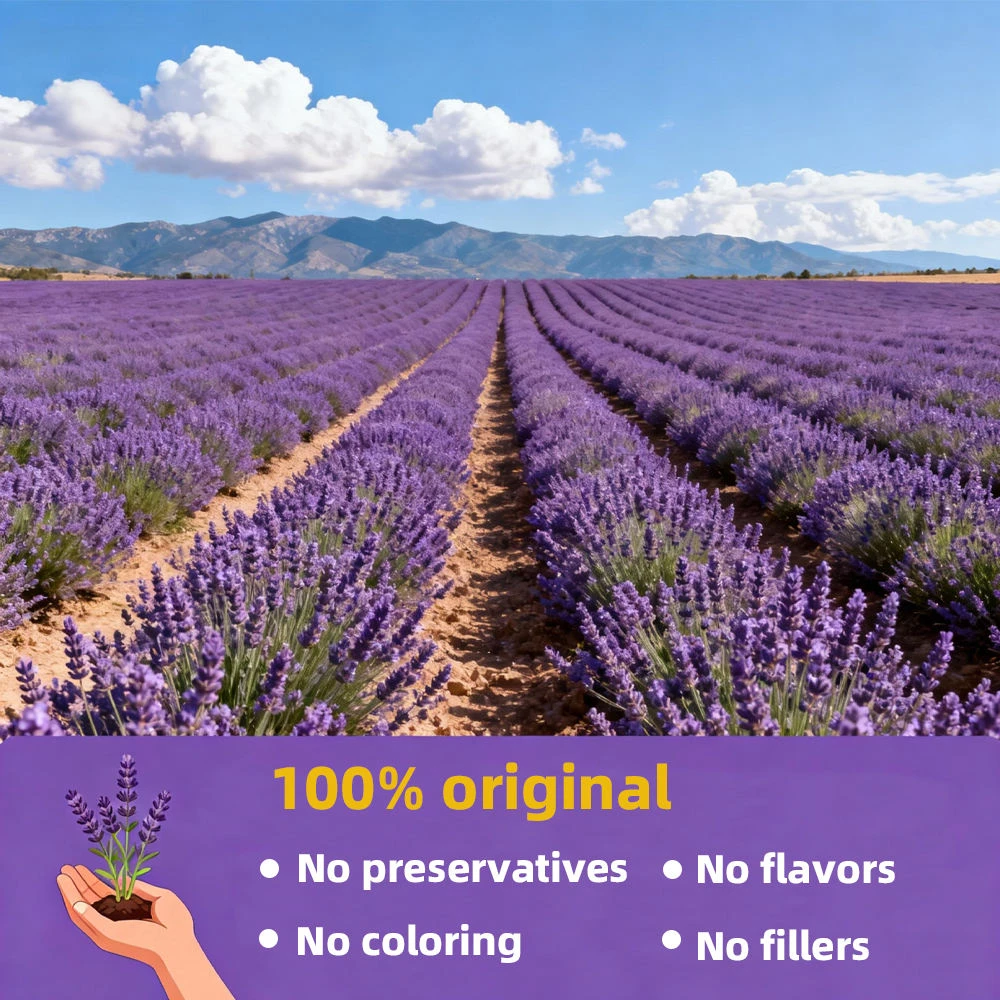 Premium Dried Lavender | Bulk Wholesale Price Hf0ca9c29ed9e4b72b6c9517a4c0613b00