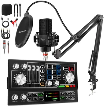 Hayner-Seek Sound Card Recording Audio Interface Mixer External Audio device for Live Streaming