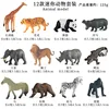 Set colorato RD- Mini Wildlife da 12 pezzi