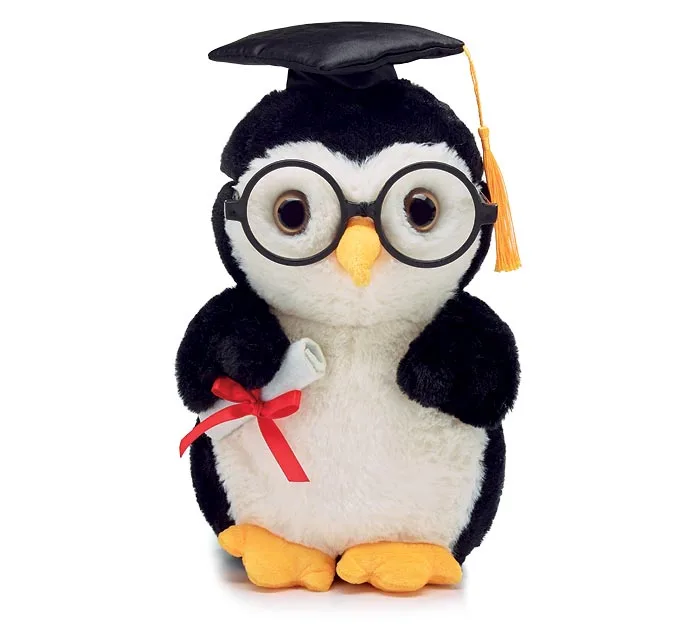 Personalized Text Graduation Sheep Kiwi Owl Stuffed Animal Plush Toys Super Soft Sitting Rooster Teddy Bear Graduation Plush Toy