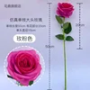 Rose pink single stem large-headed rose