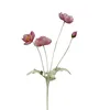 Berry pink