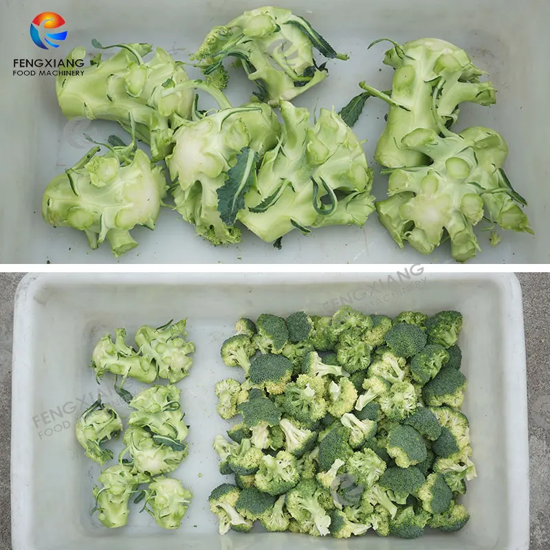 Automatic Vegetable Cutting Machine for Cauliflower & Broccoli Florets Motor As Core Component