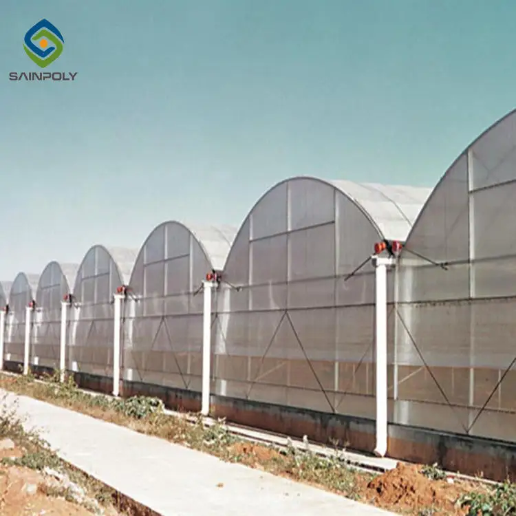 Factory Direct 1000M2 Greenhouse Smart English Design with PVC and Film Material