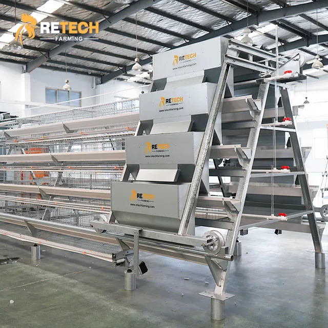 A Type Automatic Battery Poultry Cage System for Egg Layer Chickens