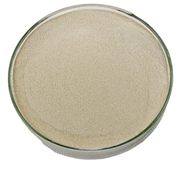 high-quality antarctic krill oil algae oil dha milk calcium