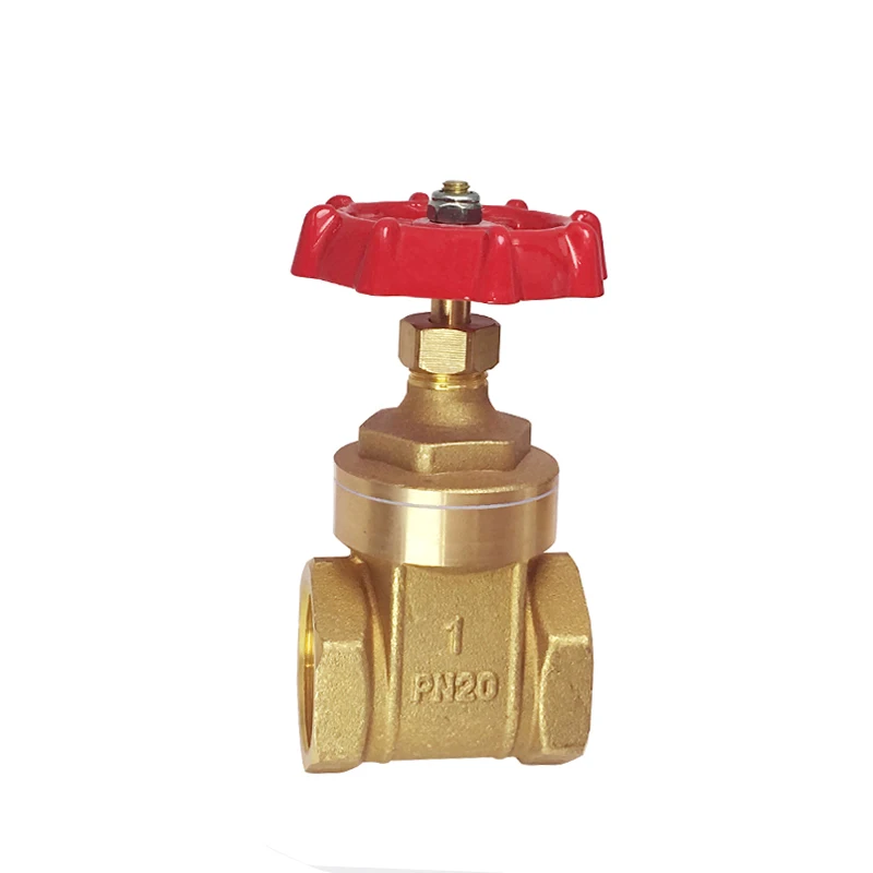 1 x 1” bsp brass gate valve 