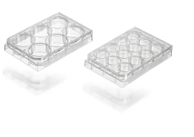 Tissue Culture Plate Different Wells Plate Cell Culture Plate Buy 96well Pcr Microplate