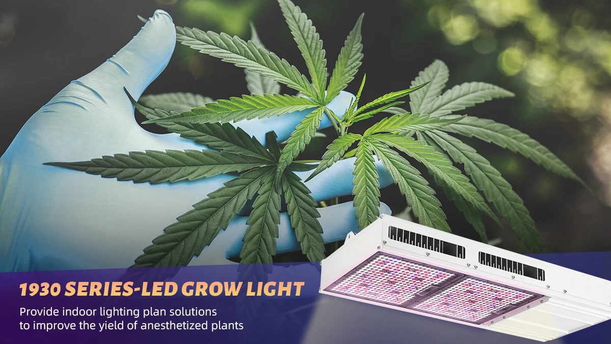 Vichi 2023 Newest Model 1000w Us Stock Greenhouse Plants Grow Light