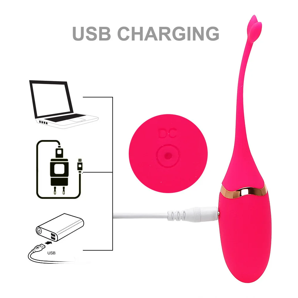 Vibrateur œuf sautant d'amour rechargeable Jouets sexuels Vibrateur œuf télécommandé pour femme adulte Masturbation