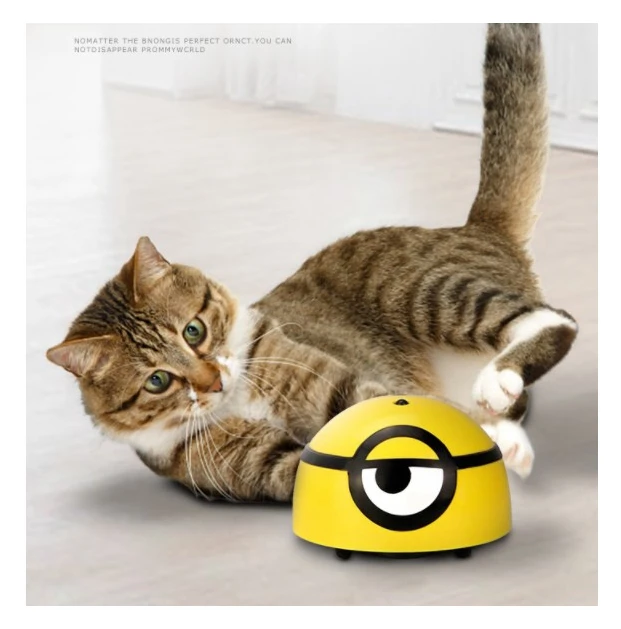cat teaser toy