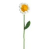 Petite marguerite jaune