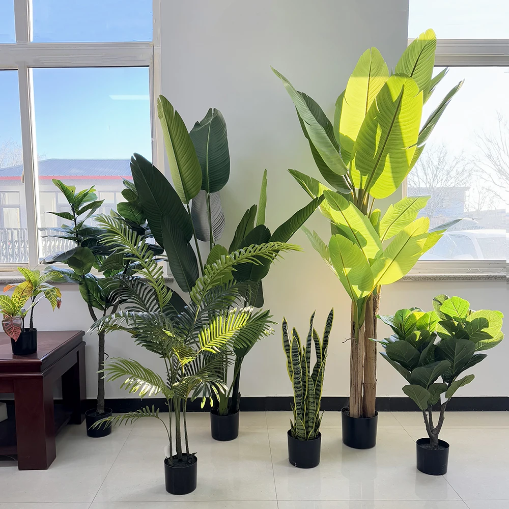 'n Natuurlike raak vir enige ruimte