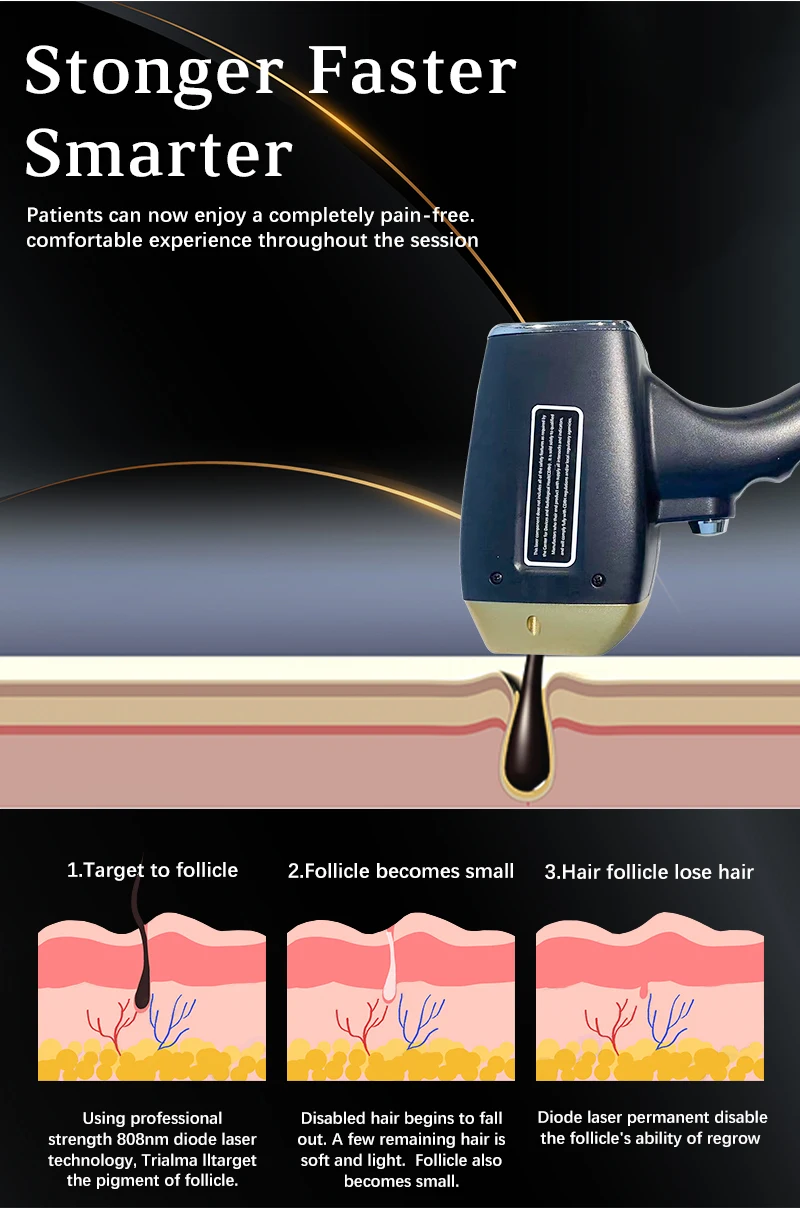 User Interface Language Options
