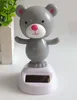 หมีสีเทา
