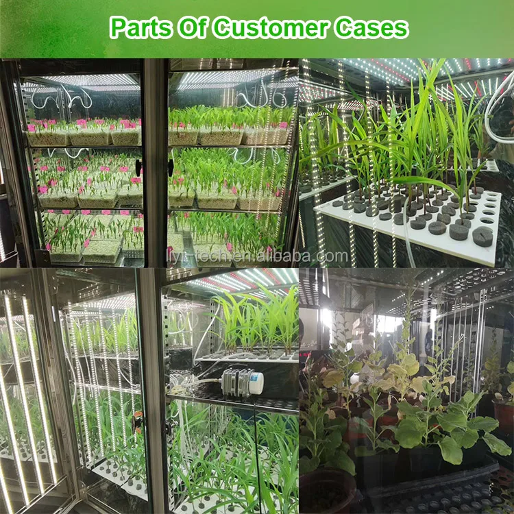 Liyiデジタル表示装置の人工的な植物成長の部屋箱の種の発生のための理性的な気候の定温器