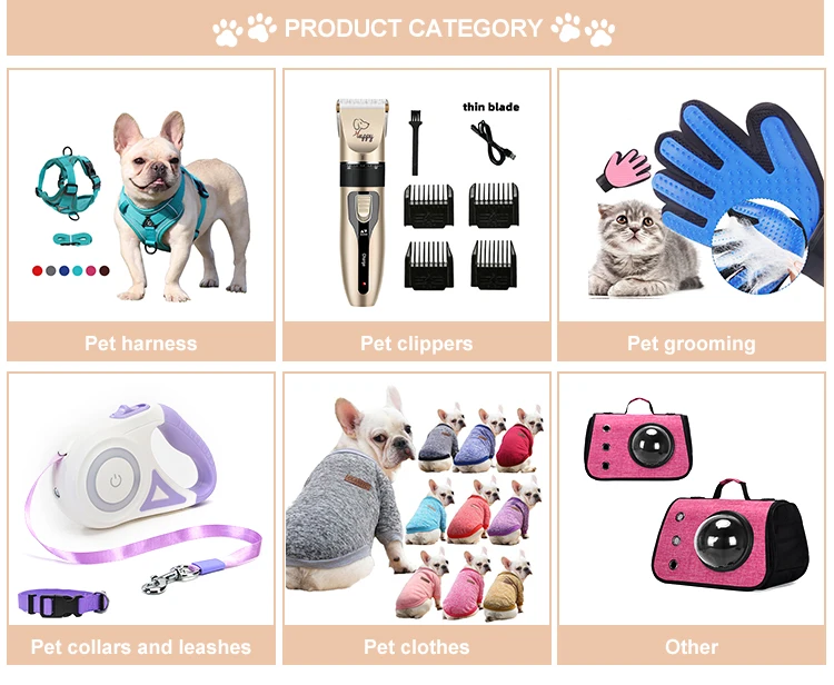 Abs Plastic Material Glow Dog Leash Glow In The Dark Dog Leash