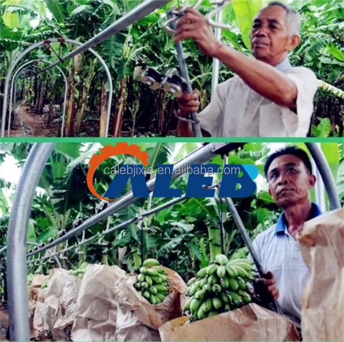 High Productivity Banana Rail Conveyor - Ropeway Transport
