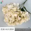 180 hydrangea petals HJX champagne color