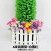 6 bunches of dancing chrysanthemums on a white fence
