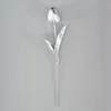 Argento