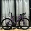 Purple Violet + 100 USD