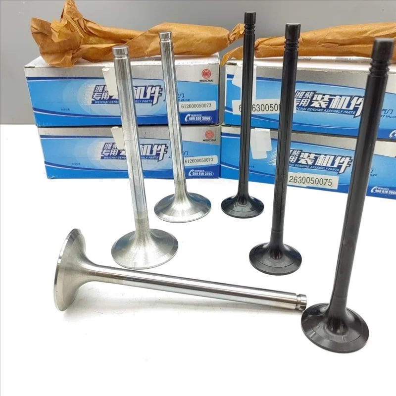 とみさま 612630050146 WP10/12/13 NG ENGINE Intake Valve - Reliable