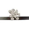 White20-25mm
