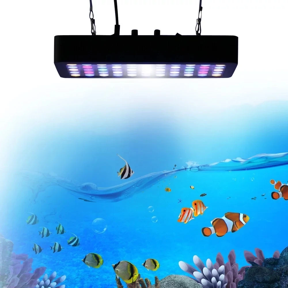 アクアリウム LED ライト 165W 165W Full Spectrum LED Aquarium Light for Coral Reef
