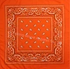 orange polyester