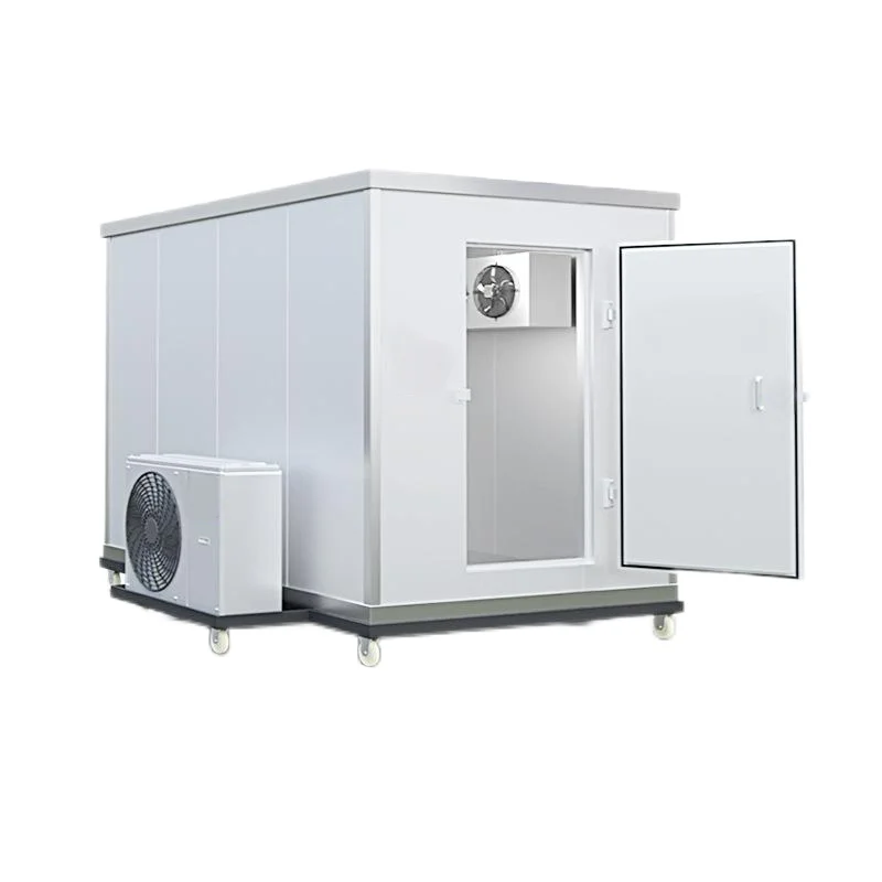 Walk in Container Freezer Mobile Cold Storage Room Custom Freezing Room with Refrigeration Equipment Freezer