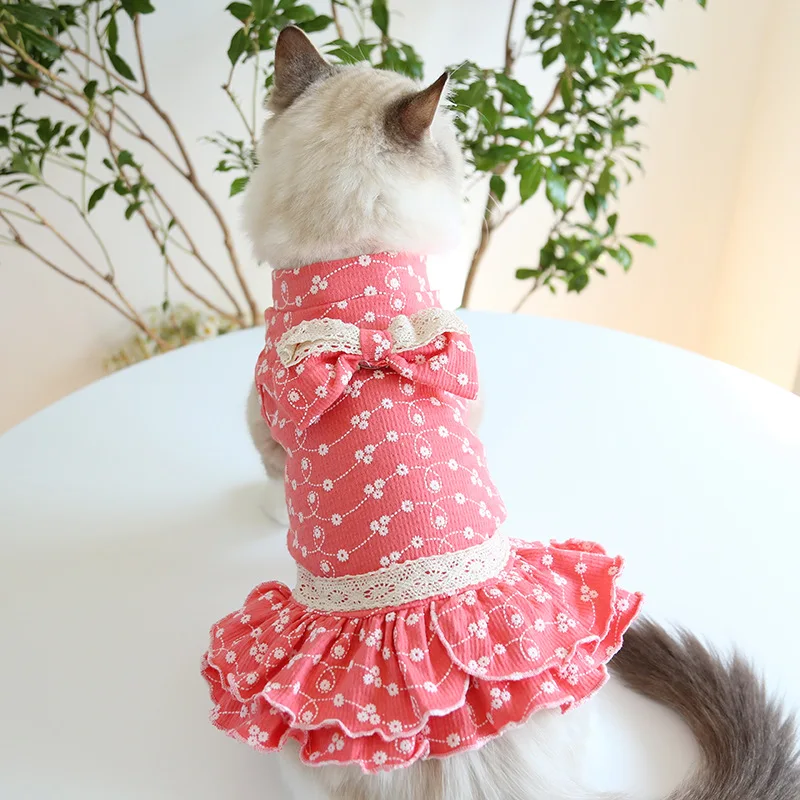 buy cat dress