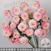 Branche de fleur de koi rose clair