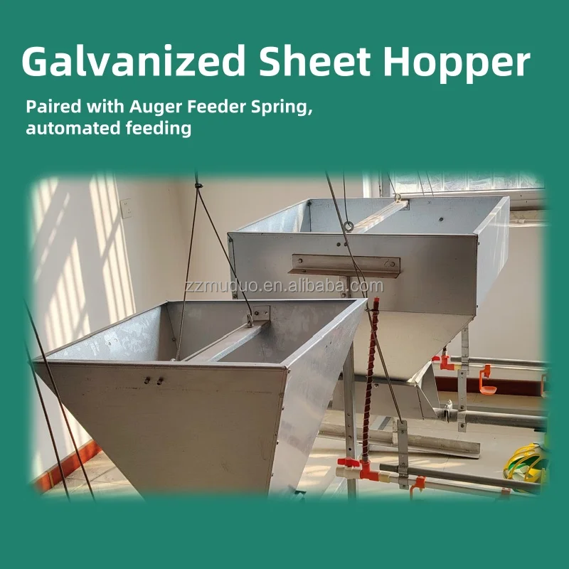 Automatic Chicken Poultry Farm Feeding Line Equipment Conveyor Chicken Food Feeding System