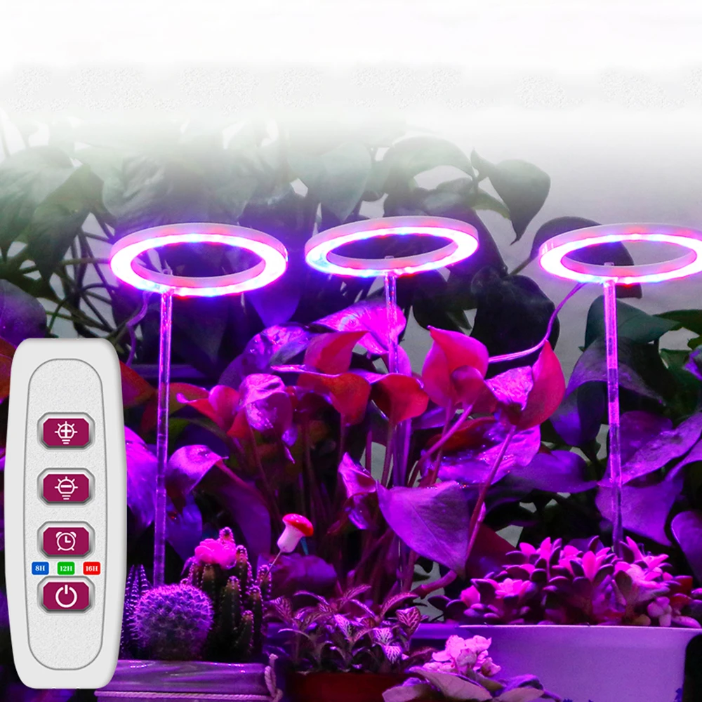 Ringfrmige Pflanzenlampe DC5V USB LED Sukkulenten-Wachstumslicht-Set  Sonnenlicht-Lampen-Kit fr Zimmerpflanzen und Blumen im Innenbereich