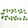 36 feuilles de pastèque vertes de 2,3 m de long