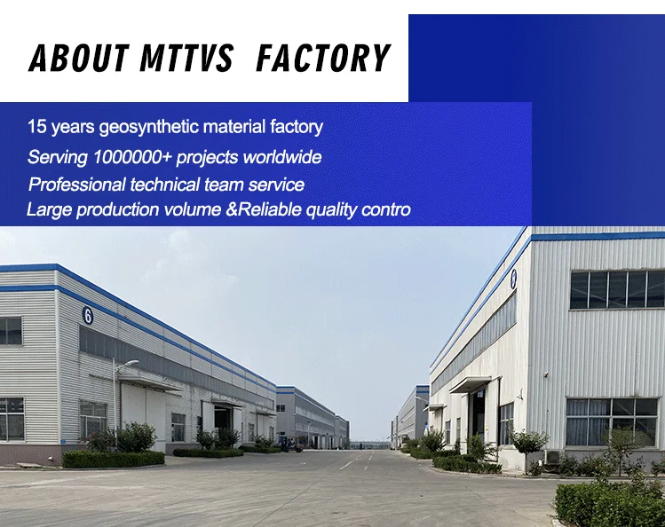 about mttvs1