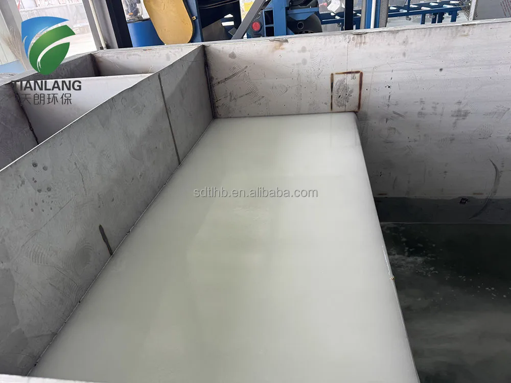 Customized Stainless Steel 304 Material Dissolved Air Flotation Machine 70TD  Food Wastewater Solid Liquid Separation Treatment