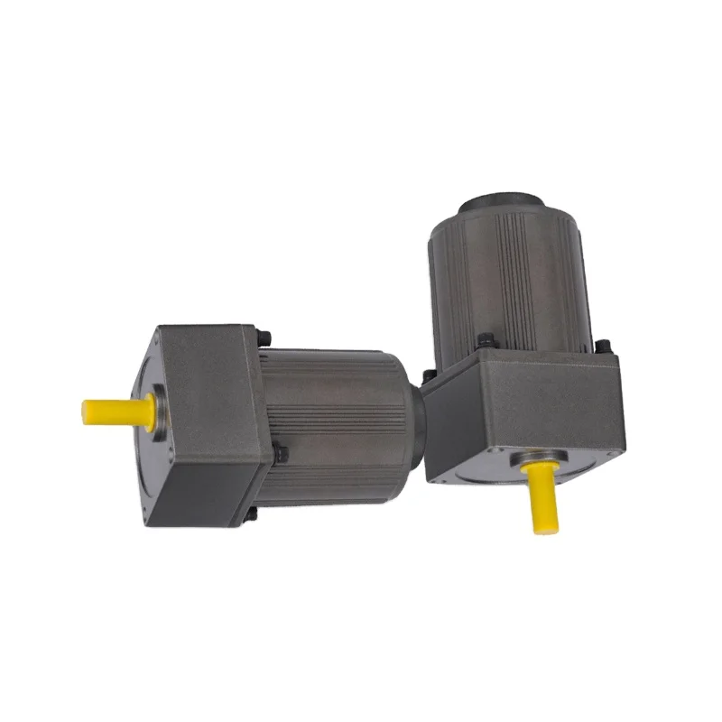 High Torque Speed Control Motor 90w 6~120w Small Ac Electric Motors Forward and Reverse Ac Gear Motor with Speed Controller