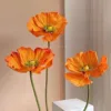 Coloré - Ensemble 3 pièces orange dégradé Poppy